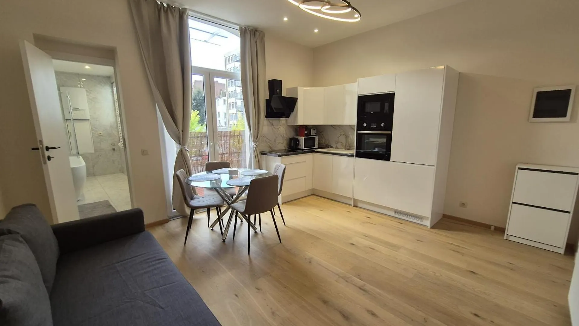 Elegant Apartment In Center Of Brussels Belgium